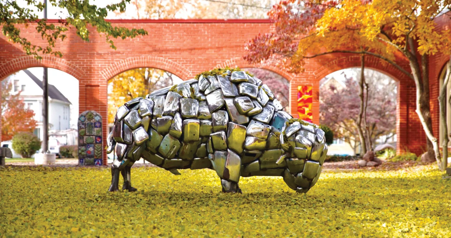 Bison Project Bring back the bison